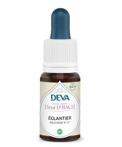Églantier (Wild Rose - N°37)